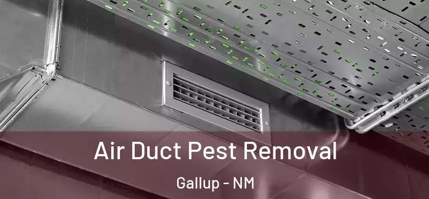  Air Duct Pest Removal Gallup - NM