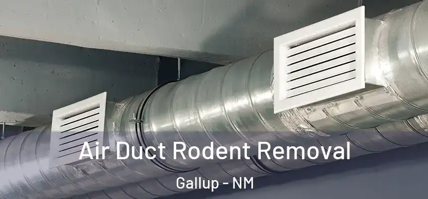 Air Duct Rodent Removal Gallup - NM