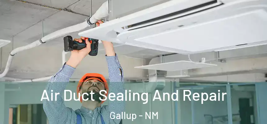 Air Duct Sealing And Repair Gallup - NM