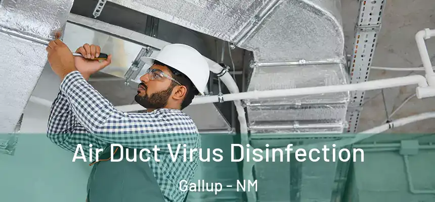 Air Duct Virus Disinfection Gallup - NM