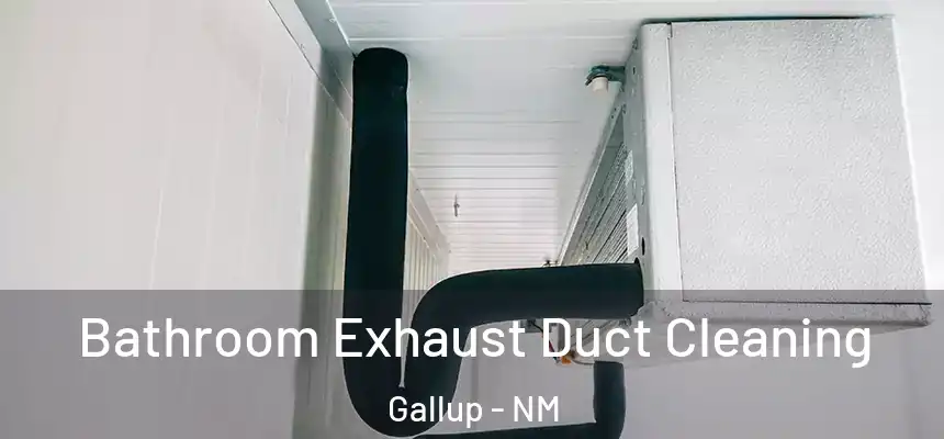  Bathroom Exhaust Duct Cleaning Gallup - NM