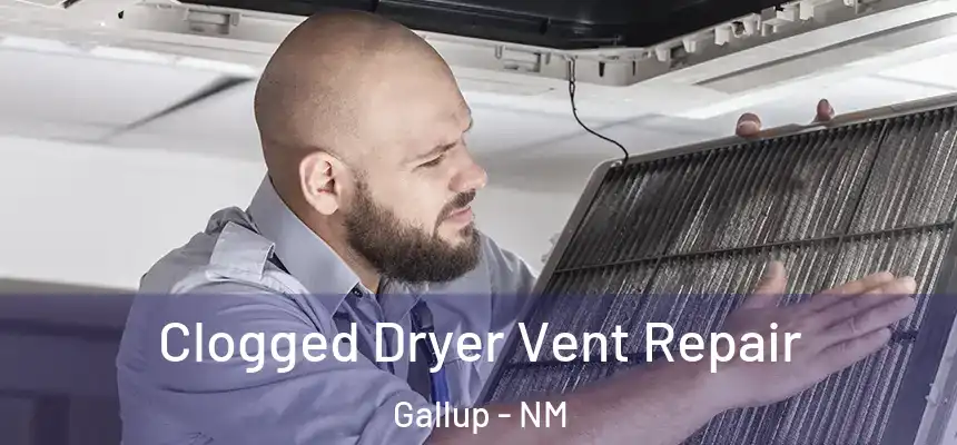  Clogged Dryer Vent Repair Gallup - NM