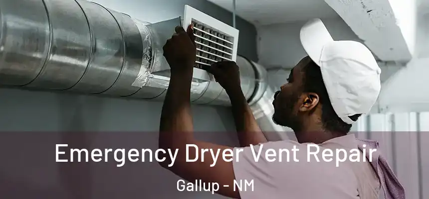  Emergency Dryer Vent Repair Gallup - NM