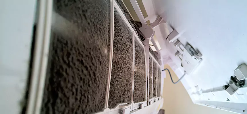 Preventive Air Duct Bacteria Removal in Gallup