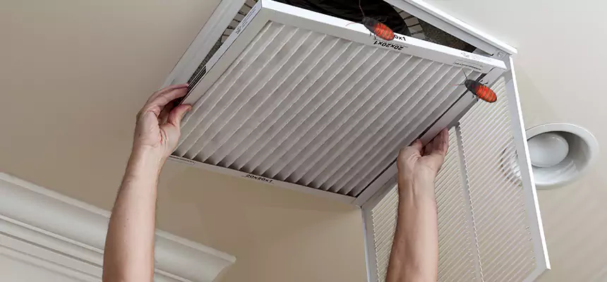Preventive Cockroach-Proofing for Ducts in Gallup