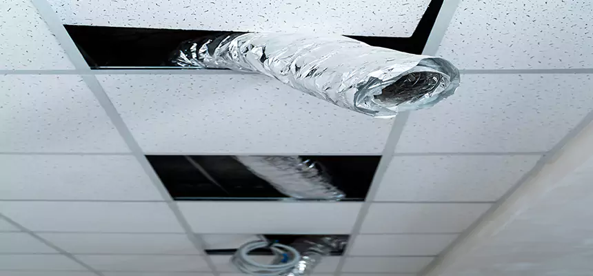 Affordable HVAC Sanitizing After Pest Removal in Gallup