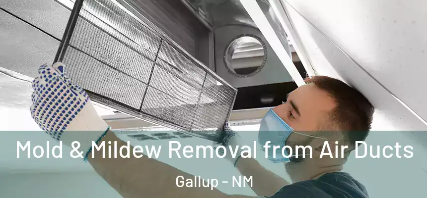 Mold & Mildew Removal from Air Ducts Gallup - NM