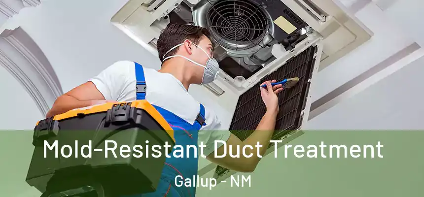  Mold-Resistant Duct Treatment Gallup - NM