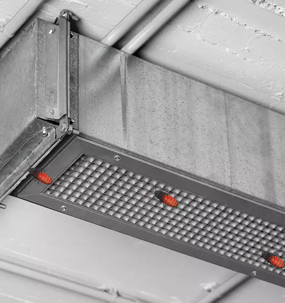 About Air Duct Cockroach Removal in Gallup, NM