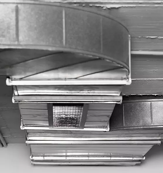 Professional Air Duct Pest Removal in Gallup, NM