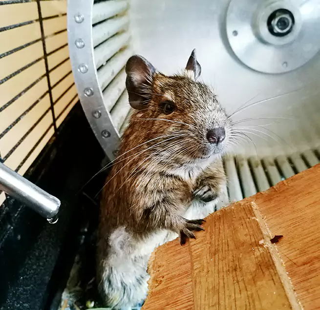 Why Homeowners & Businesses Trust Us Gallup, NM?