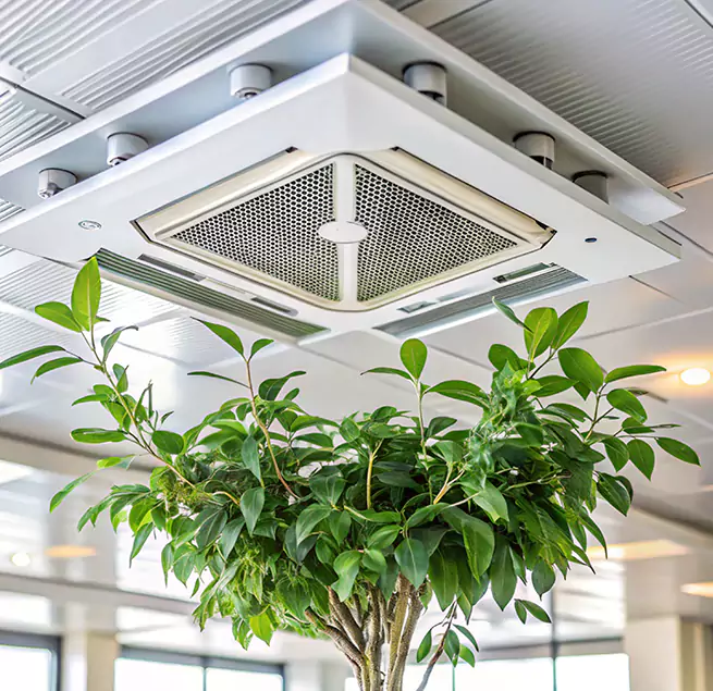 Why Homeowners & Businesses Trust Us in Gallup, NM